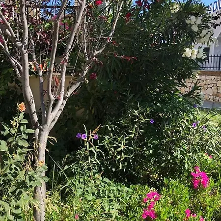 Rezervasyon Yapma Tesisi Kiralik Degil Apartament
